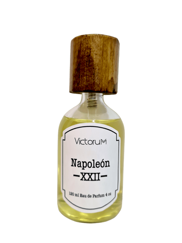Napoleon XXII Napoleon XXII